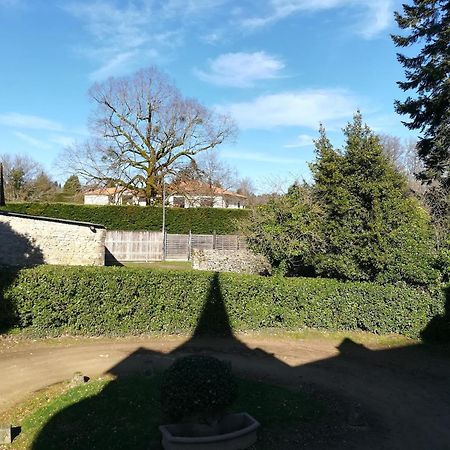 Chateau De Saint-Antoine Bonnac-la-Côte Стая снимка